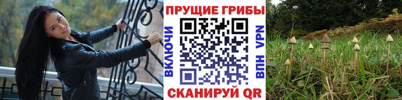 Галлюциногенные грибы ЛСД  наркотики  Находка 